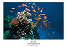 olivierpictures - UnderWaterWorld 2014