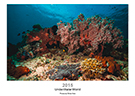 olivierpictures - UnderWaterWorld 2015